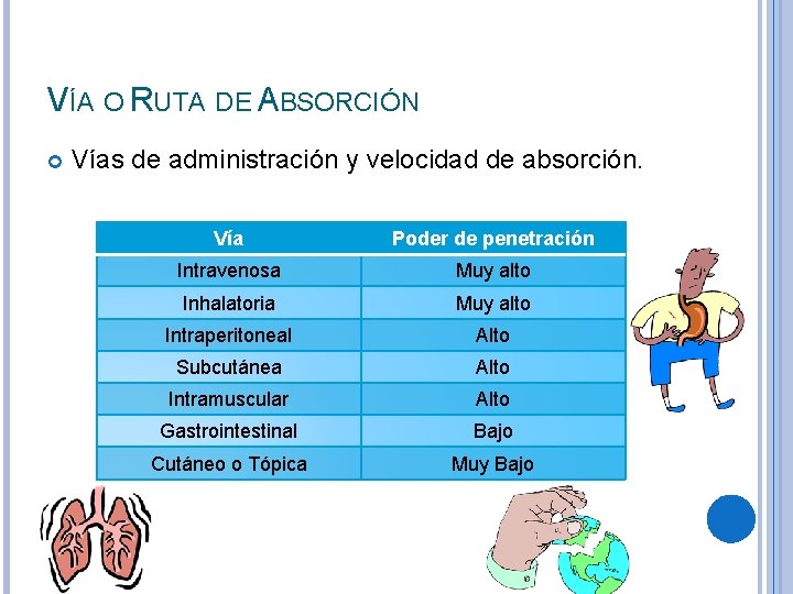 VÍA O RUTA DE ABSORCIÓN Vías de administración y velocidad de absorción. Vía Poder