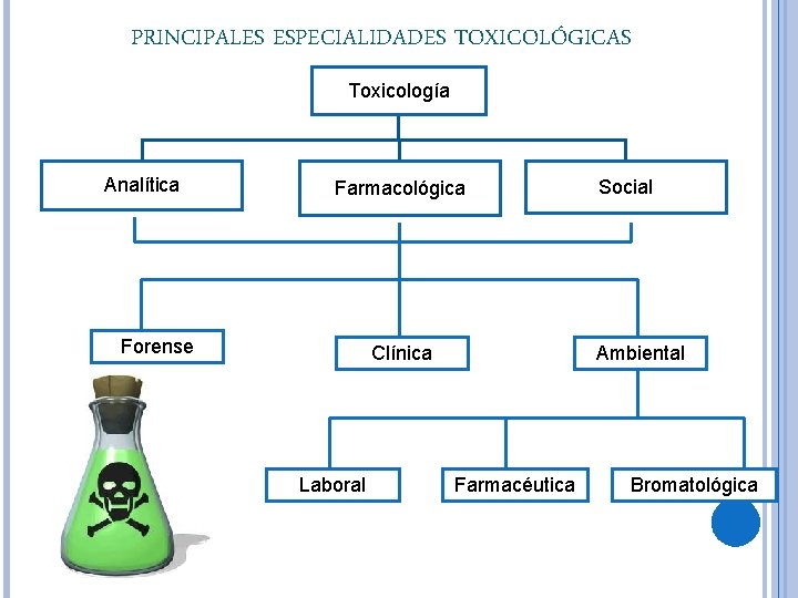 PRINCIPALES ESPECIALIDADES TOXICOLÓGICAS Toxicología Analítica Farmacológica Forense Clínica Laboral Social Ambiental Farmacéutica Bromatológica 