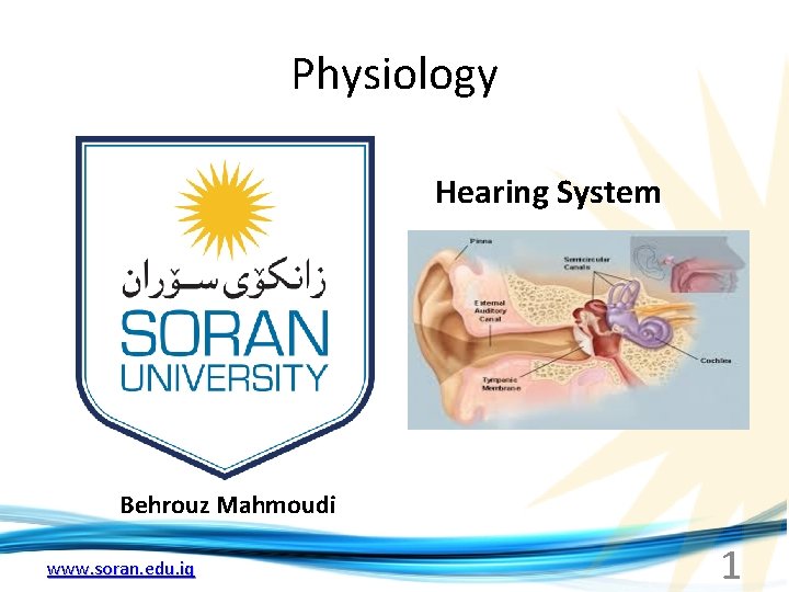 Physiology Hearing System Behrouz Mahmoudi www. soran. edu. iq 1 