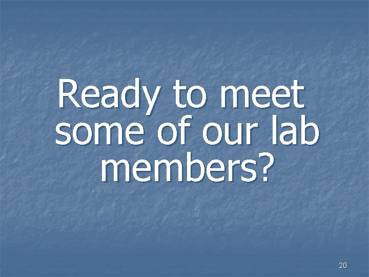 Ready to meet some of our lab members? 20 