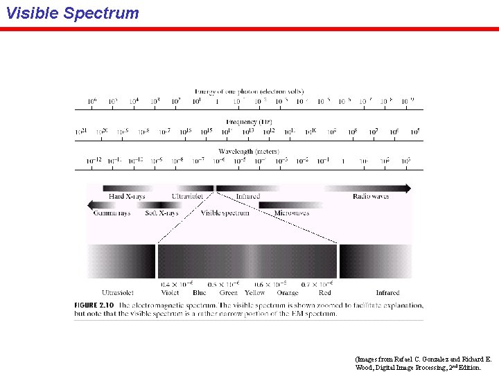 Visible Spectrum (Images from Rafael C. Gonzalez and Richard E. Wood, Digital Image Processing,