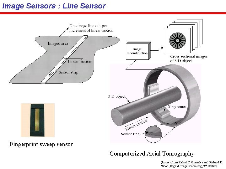 Image Sensors : Line Sensor Fingerprint sweep sensor Computerized Axial Tomography (Images from Rafael