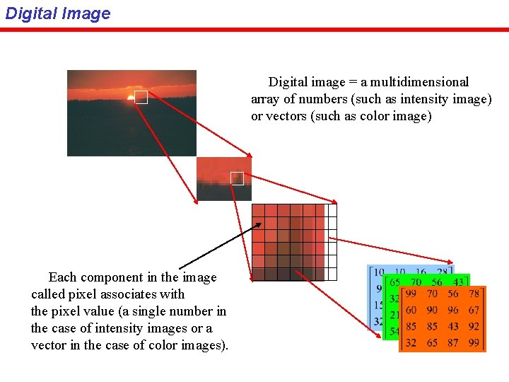 Digital Image Digital image = a multidimensional array of numbers (such as intensity image)