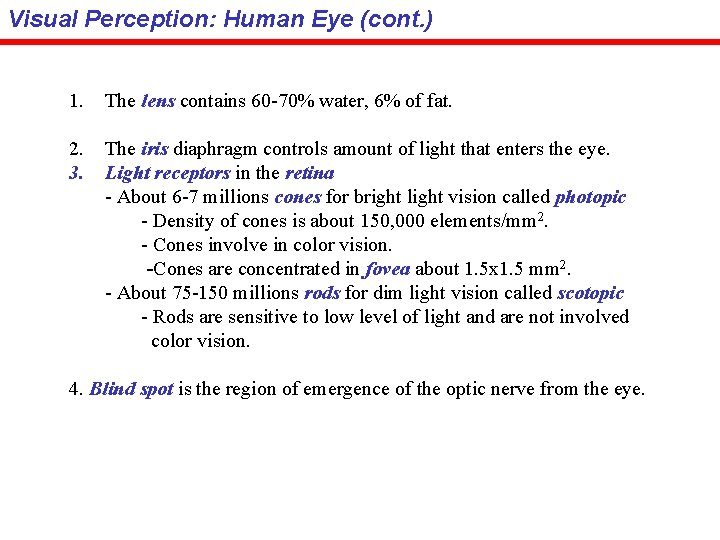 Visual Perception: Human Eye (cont. ) 1. The lens contains 60 -70% water, 6%