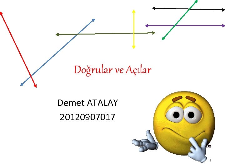 Doğrular ve Açılar Demet ATALAY 20120907017 1 
