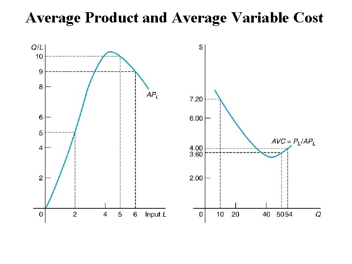 Average Product and Average Variable Cost 