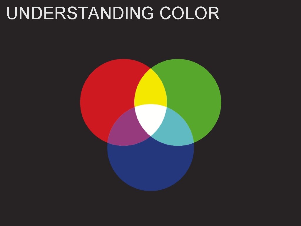 UNDERSTANDING COLOR 