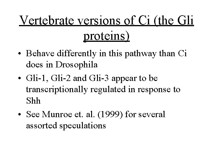 Vertebrate versions of Ci (the Gli proteins) • Behave differently in this pathway than