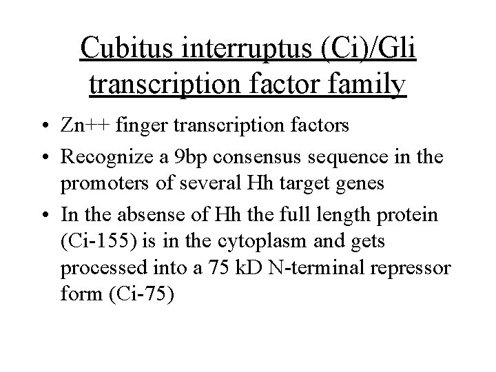 Cubitus interruptus (Ci)/Gli transcription factor family • Zn++ finger transcription factors • Recognize a