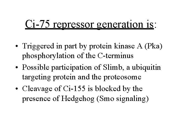 Ci-75 repressor generation is: • Triggered in part by protein kinase A (Pka) phosphorylation