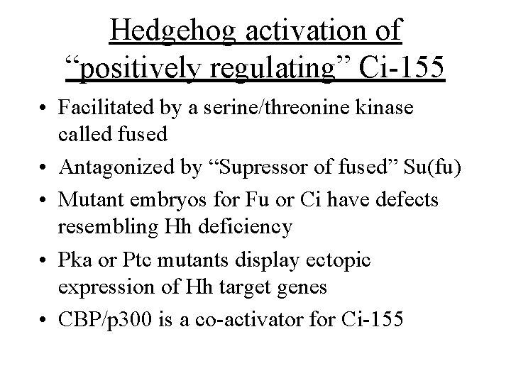Hedgehog activation of “positively regulating” Ci-155 • Facilitated by a serine/threonine kinase called fused