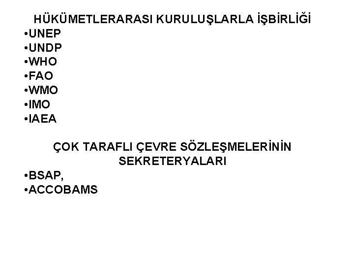 HÜKÜMETLERARASI KURULUŞLARLA İŞBİRLİĞİ • UNEP • UNDP • WHO • FAO • WMO •