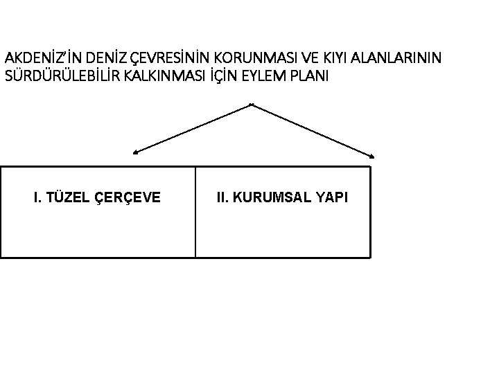 AKDENİZ’İN DENİZ ÇEVRESİNİN KORUNMASI VE KIYI ALANLARININ SÜRDÜRÜLEBİLİR KALKINMASI İÇİN EYLEM PLANI I. TÜZEL