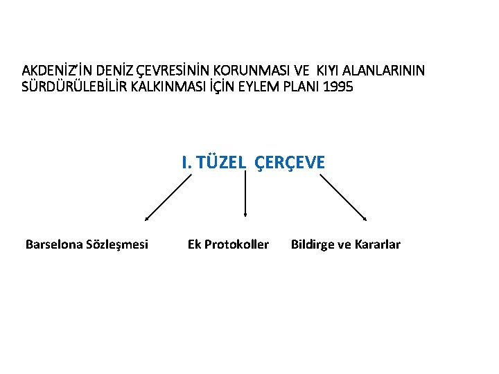 AKDENİZ’İN DENİZ ÇEVRESİNİN KORUNMASI VE KIYI ALANLARININ SÜRDÜRÜLEBİLİR KALKINMASI İÇİN EYLEM PLANI 1995 I.