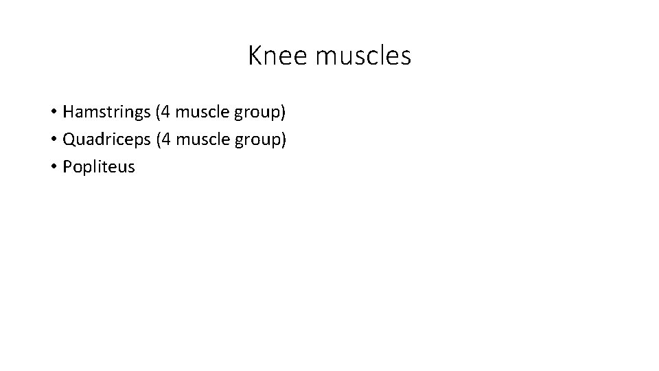 Knee muscles • Hamstrings (4 muscle group) • Quadriceps (4 muscle group) • Popliteus