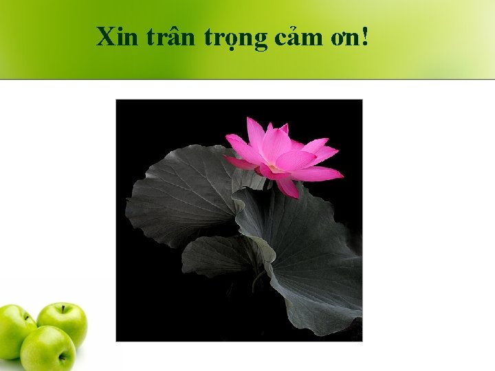 Xin trân trọng cảm ơn! 