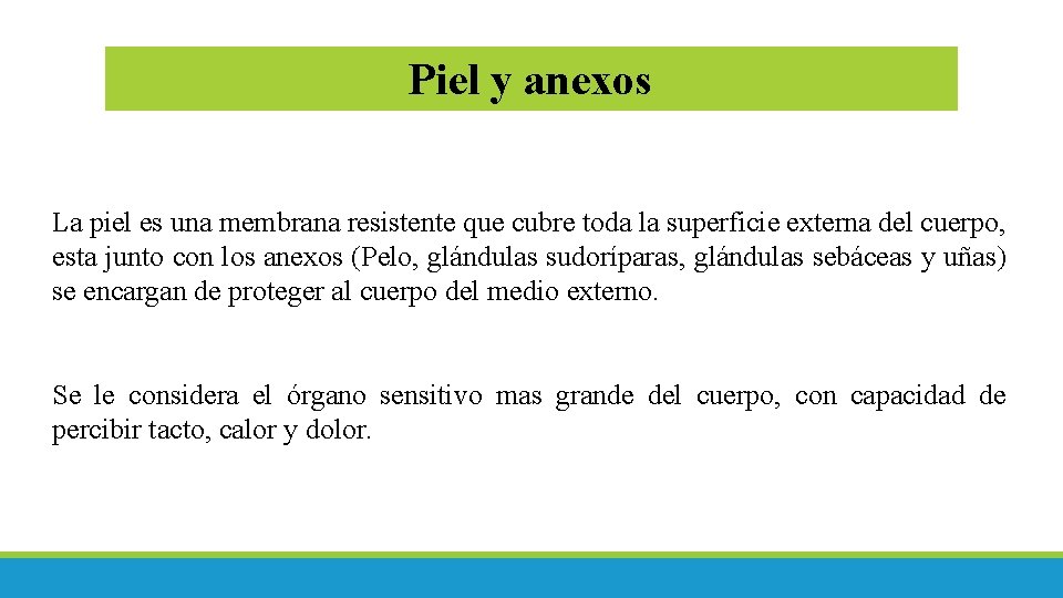 Piel y anexos La piel es una membrana resistente que cubre toda la superficie Piel y anexos La piel es una membrana resistente que cubre toda la superficie