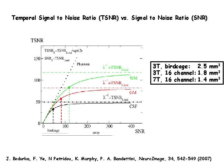 Temporal Signal to Noise Ratio (TSNR) vs. Signal to Noise Ratio (SNR) 3 T,