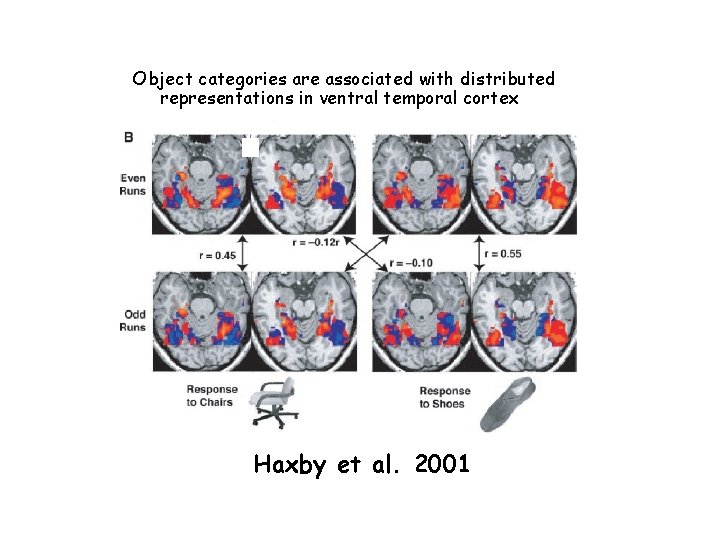 Object categories are associated with distributed representations in ventral temporal cortex Haxby et al.