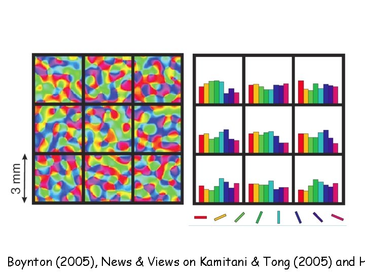 Boynton (2005), News & Views on Kamitani & Tong (2005) and H 