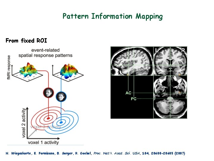 Pattern Information Mapping From fixed ROI N. Kriegeskorte, E. Formisano, B. Sorger, R. Goebel,