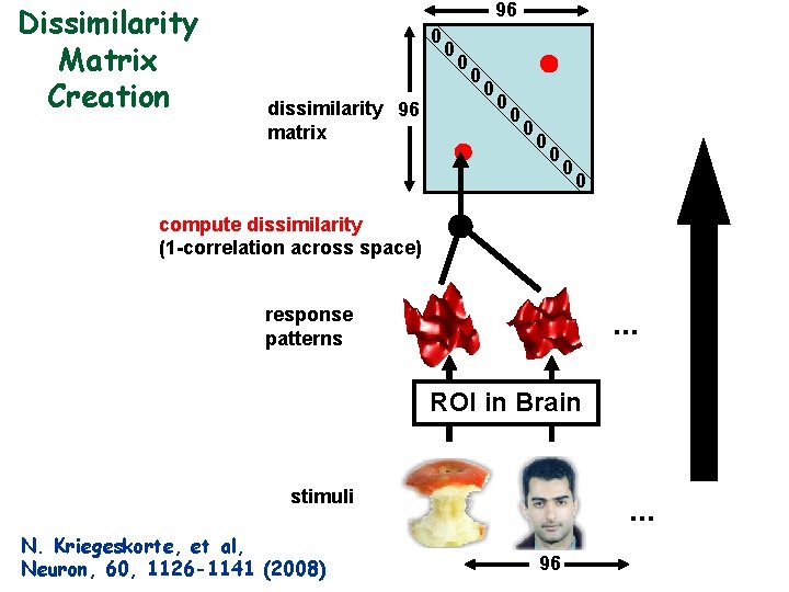 Dissimilarity Matrix Creation 96 0 dissimilarity 96 matrix 0 0 0 compute dissimilarity (1