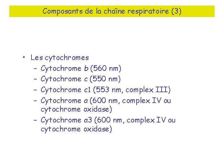 Composants de la chaîne respiratoire (3) • Les cytochromes – Cytochrome b (560 nm)