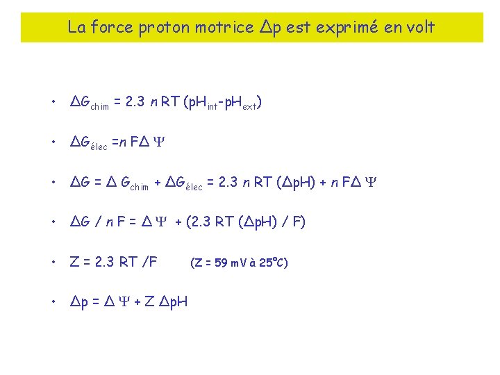 La force proton motrice ∆p est exprimé en volt • ∆Gchim = 2. 3