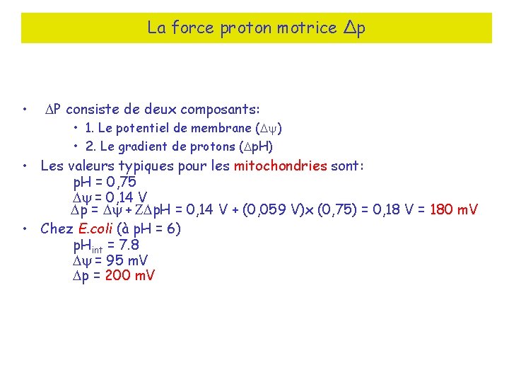 La force proton motrice ∆p • DP consiste de deux composants: • 1. Le