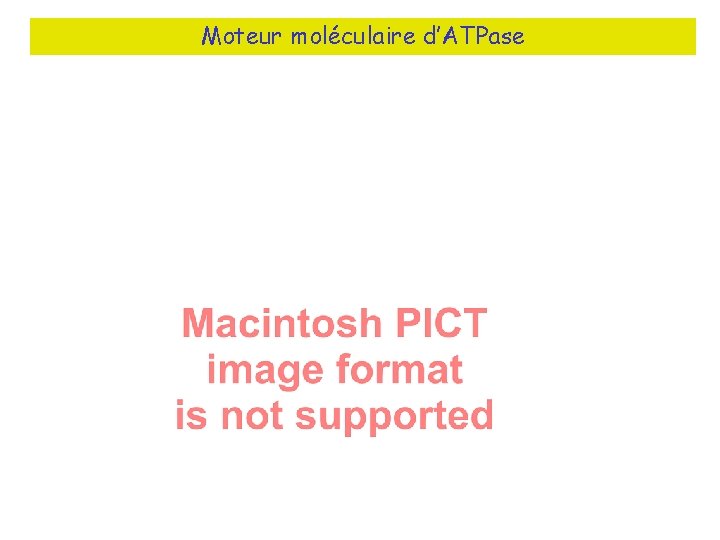 Moteur moléculaire d’ATPase 