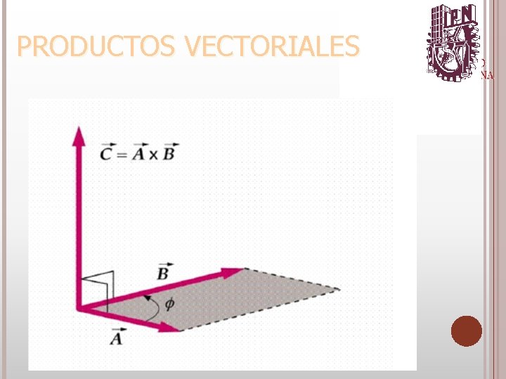 6/4/2021 PRODUCTOS VECTORIALES 
