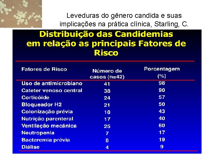 Leveduras do gênero candida e suas implicações na prática clínica, Starling, C. 