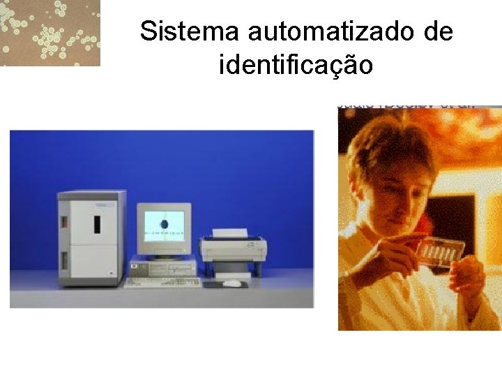 Sistema automatizado de identificação 