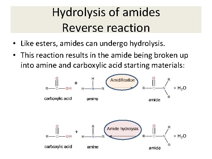 Hydrolysis of amides Reverse reaction • Like esters, amides can undergo hydrolysis. • This