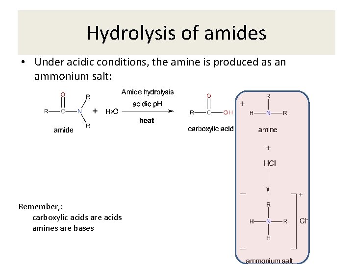 Hydrolysis of amides • Under acidic conditions, the amine is produced as an ammonium