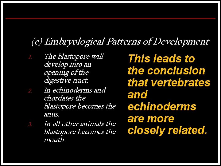 (c) Embryological Patterns of Development 1. 2. 3. The blastopore will develop into an