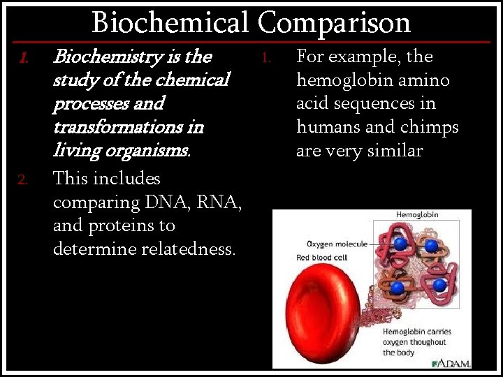 Biochemical Comparison 1. Biochemistry is the study of the chemical processes and transformations in