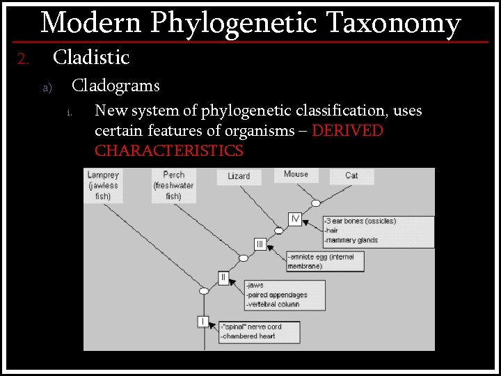 Modern Phylogenetic Taxonomy Cladistic 2. a) Cladograms i. New system of phylogenetic classification, uses