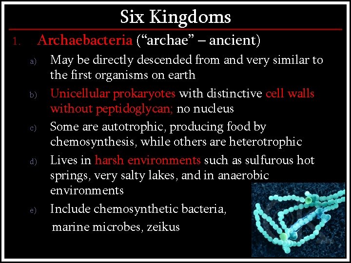 Six Kingdoms Archaebacteria (“archae” – ancient) 1. a) b) c) d) e) May be