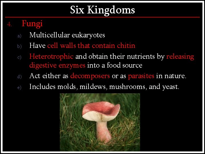 Six Kingdoms Fungi 4. a) b) c) d) e) Multicellular eukaryotes Have cell walls