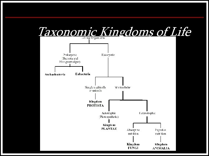 Taxonomic Kingdoms of Life 