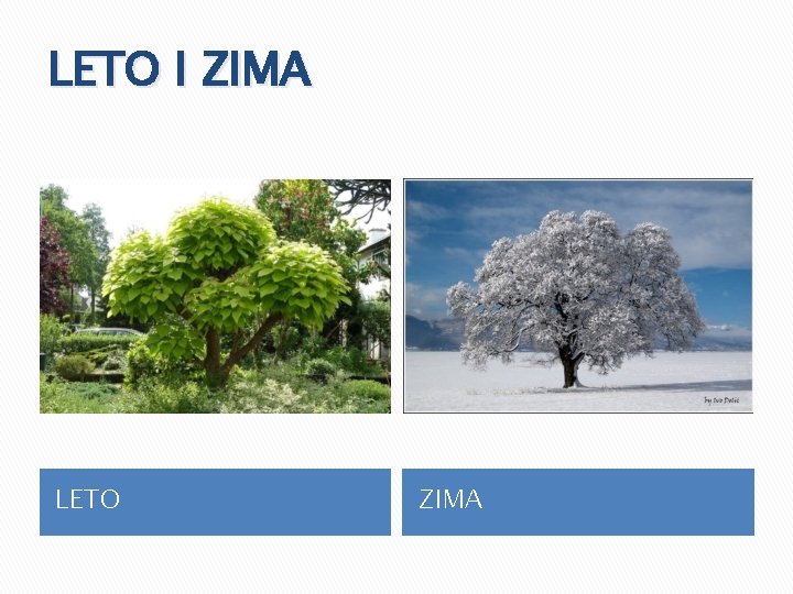 LETO I ZIMA LETO ZIMA 