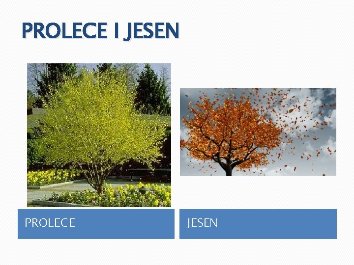 PROLECE I JESEN PROLECE JESEN 