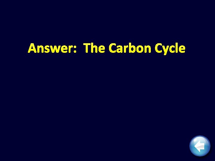 Answer: The Carbon Cycle 