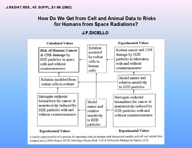 J. RADIAT. RES. , 43: SUPPL. , S 1 -S 6 (2002) How Do