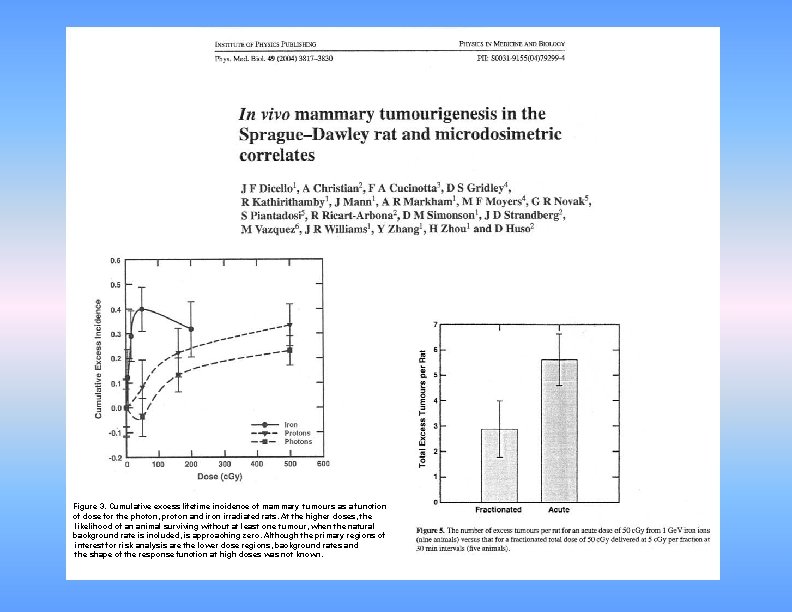 Figure 3. Cumulative excess lifetime incidence of mammary tumours as a function of dose