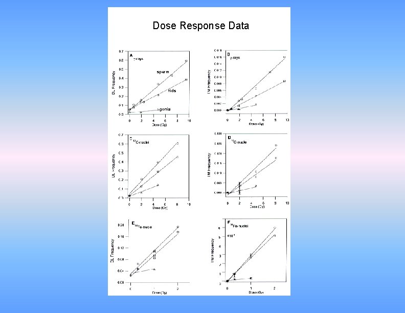Dose Response Data sperm tids gonia 