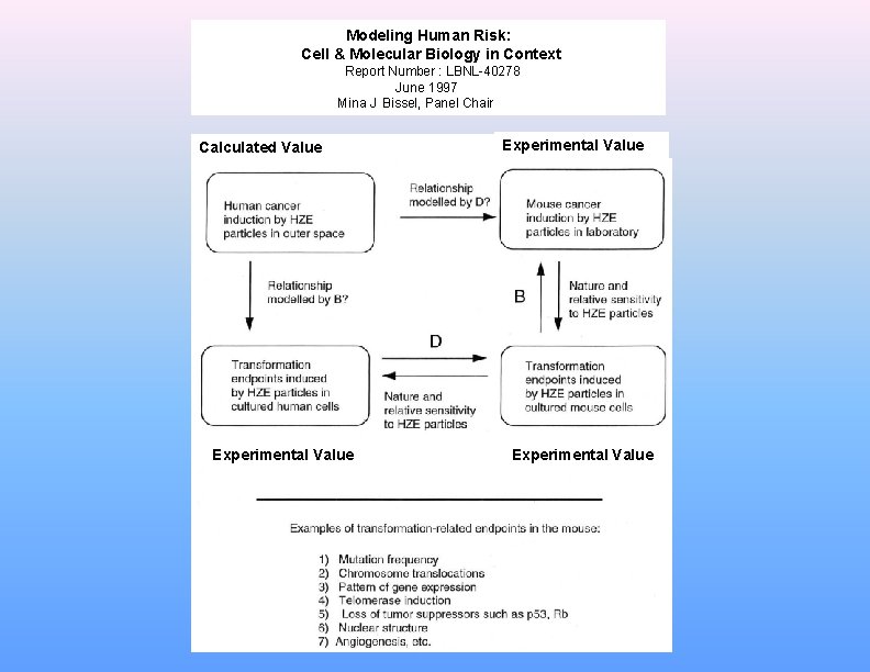 Modeling Human Risk: Cell & Molecular Biology in Context Report Number : LBNL-40278 June