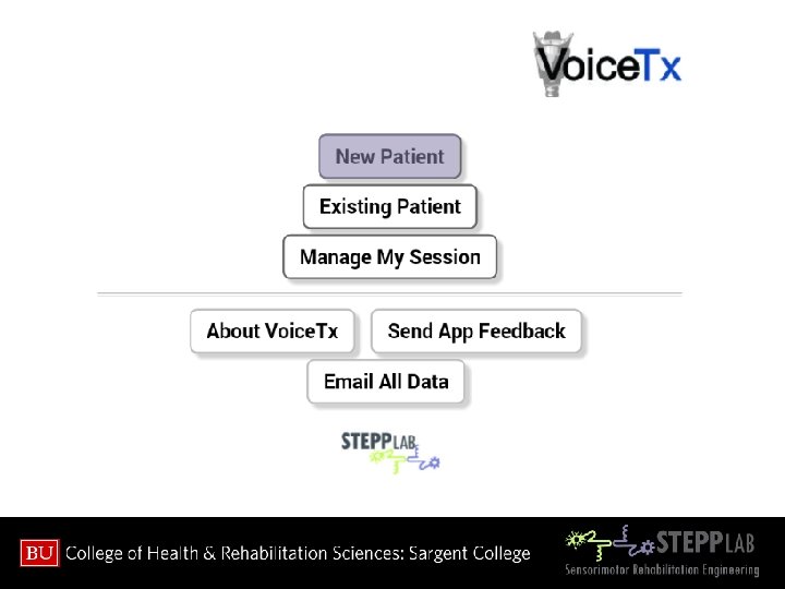 Development of an Electronic Documentation System for Voice