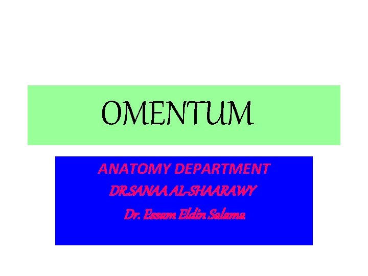 OMENTUM ANATOMY DEPARTMENT DR. SANAA AL-SHAARAWY Dr. Essam Eldin Salama 